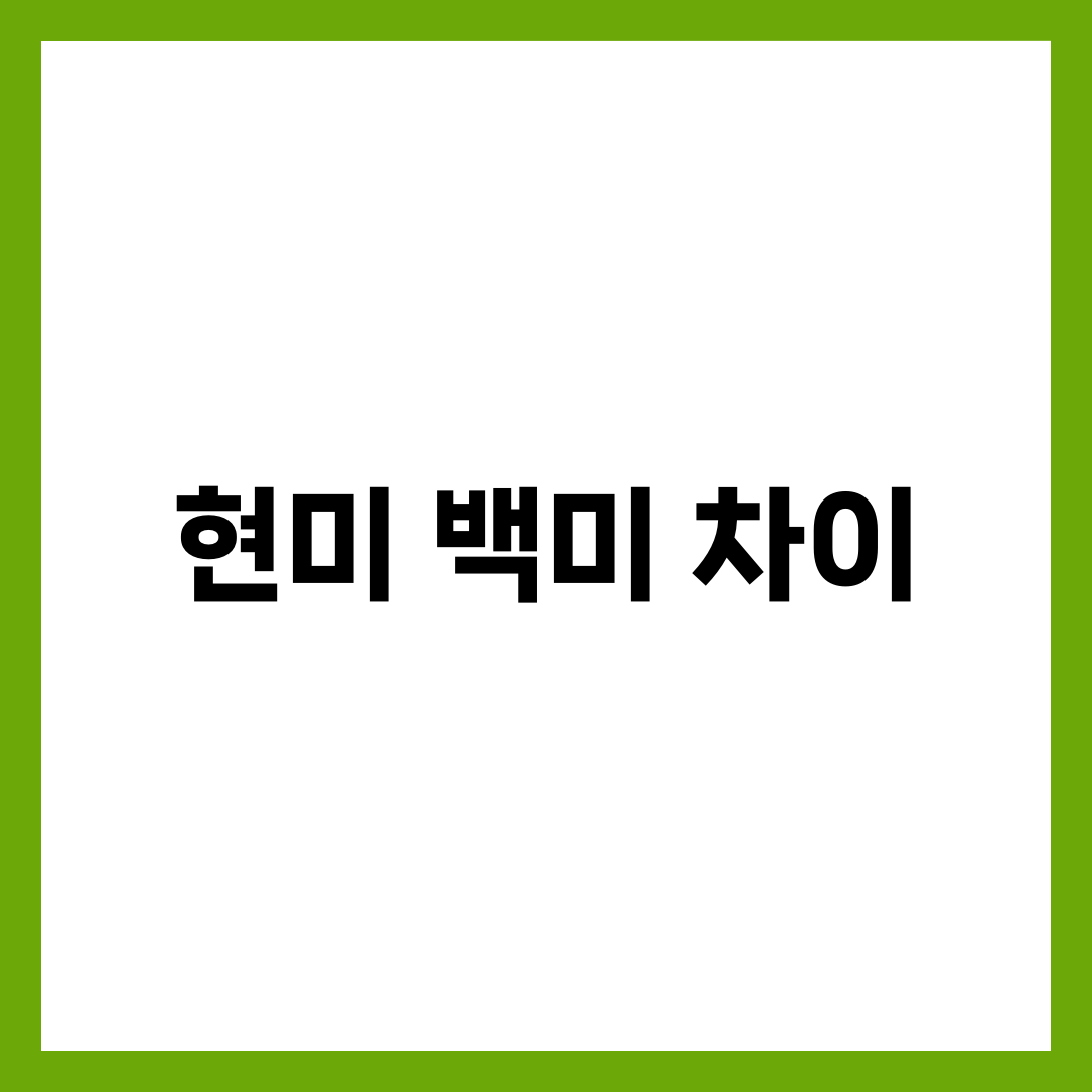 현미 vs 백미 영양 차이 완벽 비교, 어떤 쌀이 더 좋을까? 4