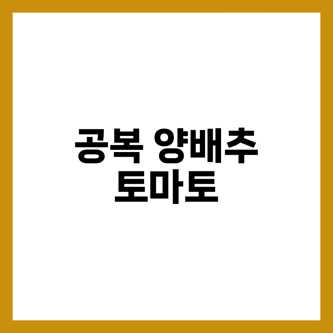 공복 양배추 토마토 효능, 아침에 먹으면 좋은 이유 총정리 1