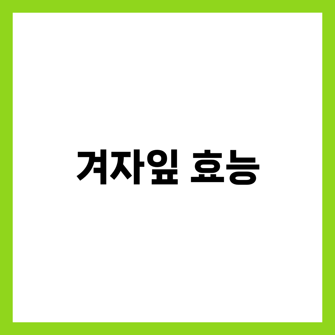 겨자잎 효능 5가지, 쌈·무침·장아찌로 먹을 때 주의사항 5