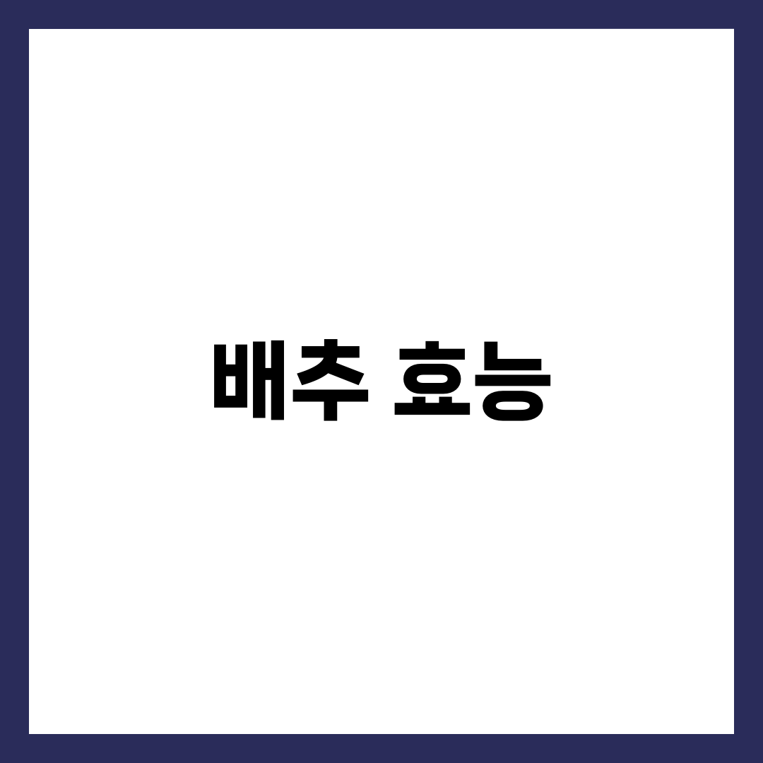배추 효능 5가지, 쌈이 좋을까 김치가 좋을까 영양 비교 총정리 2