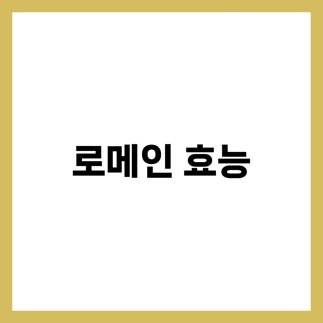 로메인 효능 5가지, 다이어트 샐러드 실패하는 이유까지 총정리 3