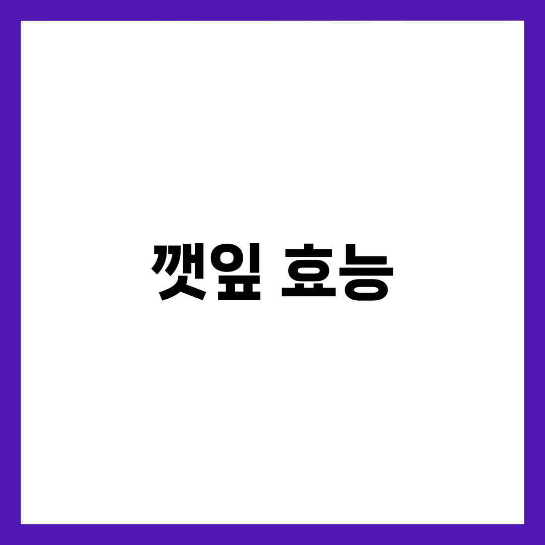 깻잎 효능 6가지, 장아찌 나트륨 줄이는 먹는 법 총정리 1