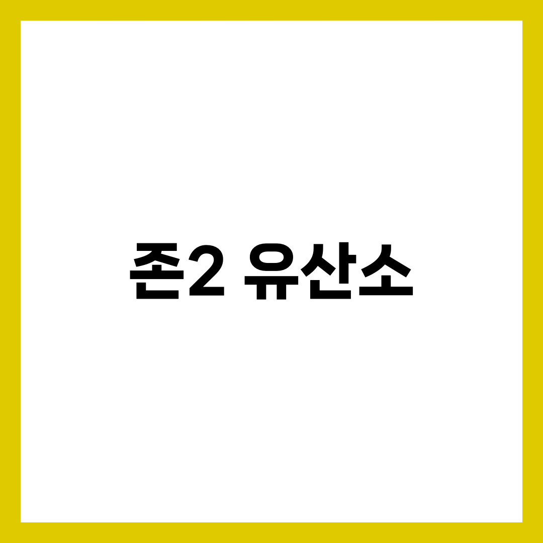 유산소 운동, 존2로 바꾸면 결과가 달라진다 완벽 가이드 1