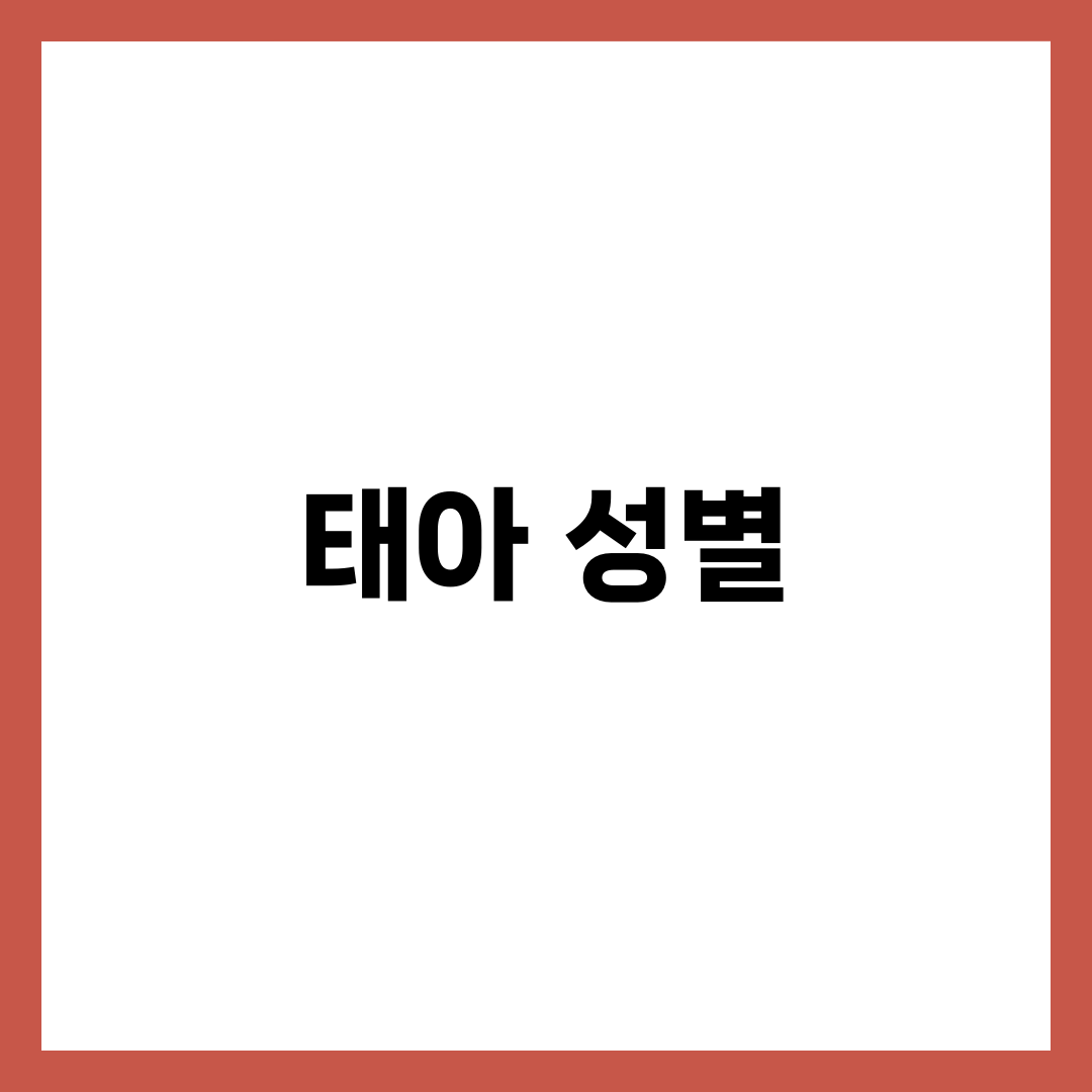 태아 성별 언제 알 수 있을까? 확인 시기 총정리 1
