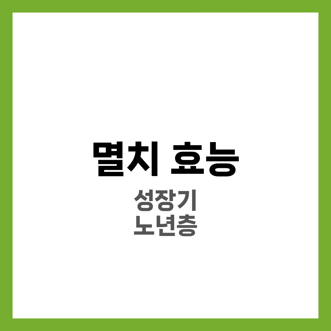 멸치 효능: 성장기 아이와 노년층에게 딱! 1