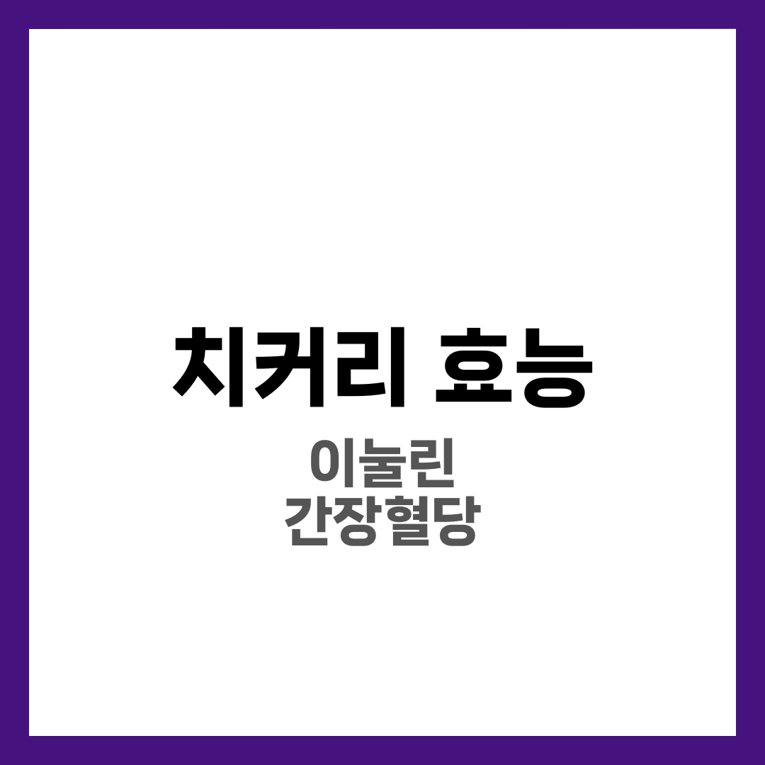 치커리 효능 7가지와 하루 적정량, 간·장·혈당 잡는 활용법 2