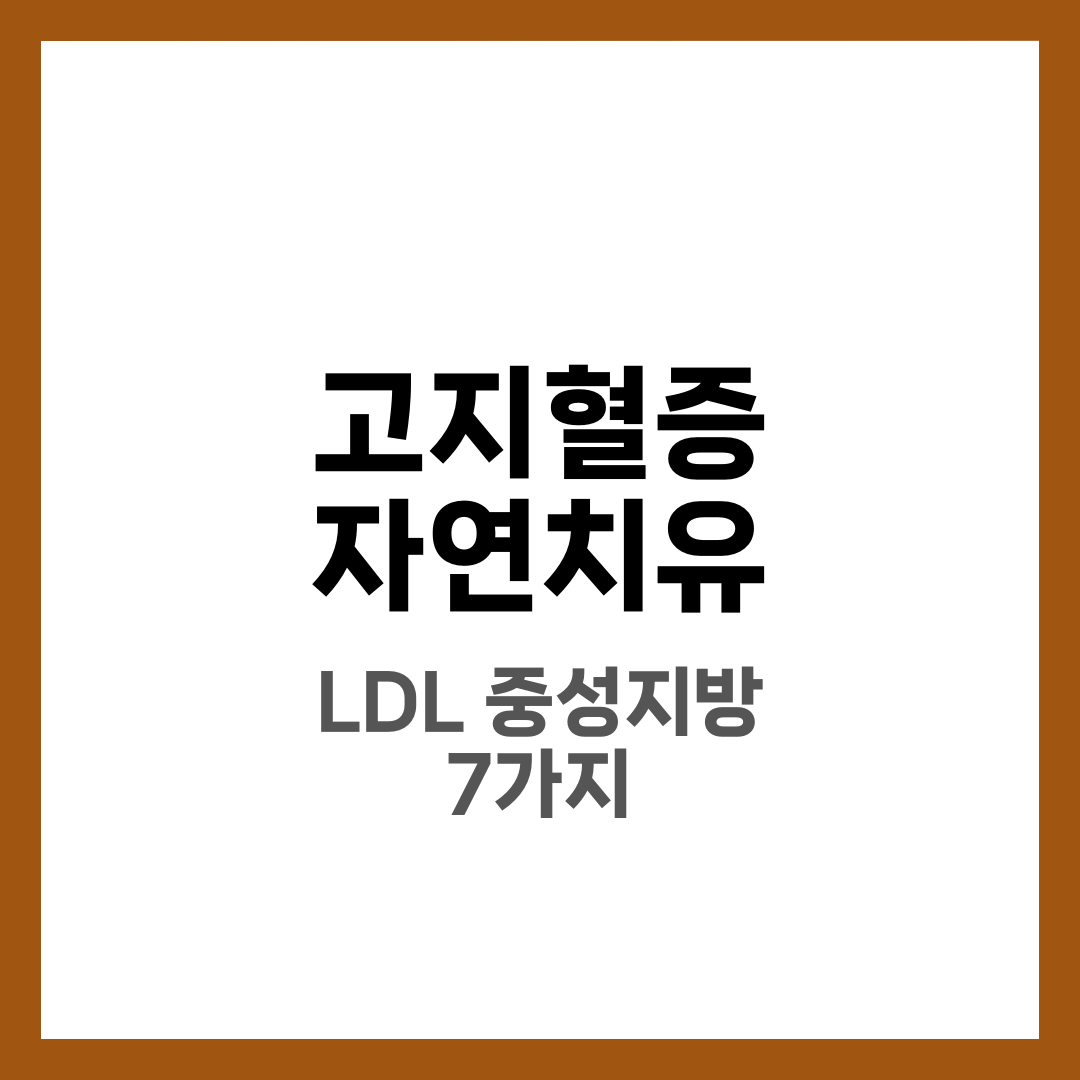 고지혈증 자연치유 방법 7가지, LDL·중성지방 낮추는 식단·운동·영양제 실전 4
