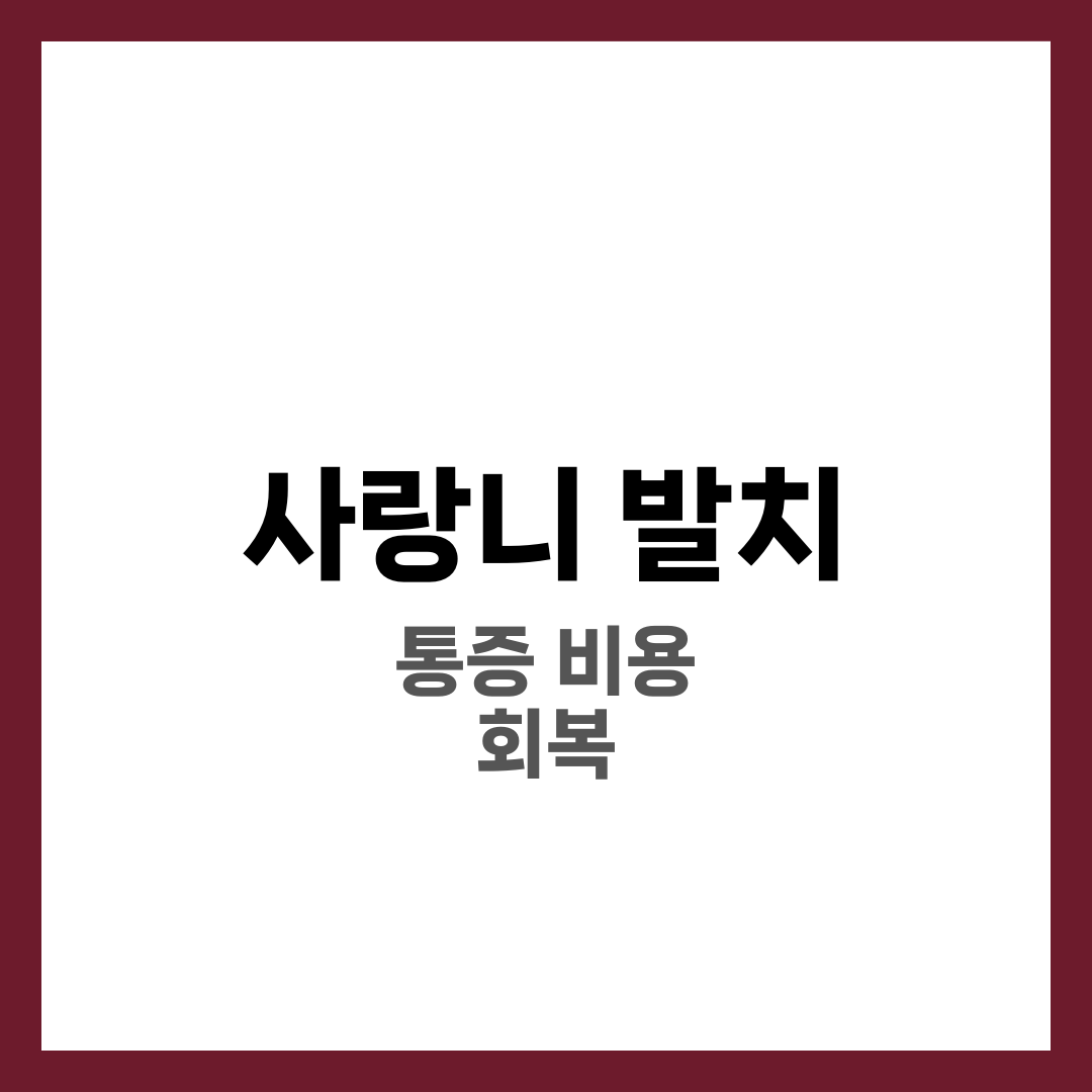 사랑니 발치 통증·비용·회복 기간 총정리, 발치 후 주의사항 8가지 1