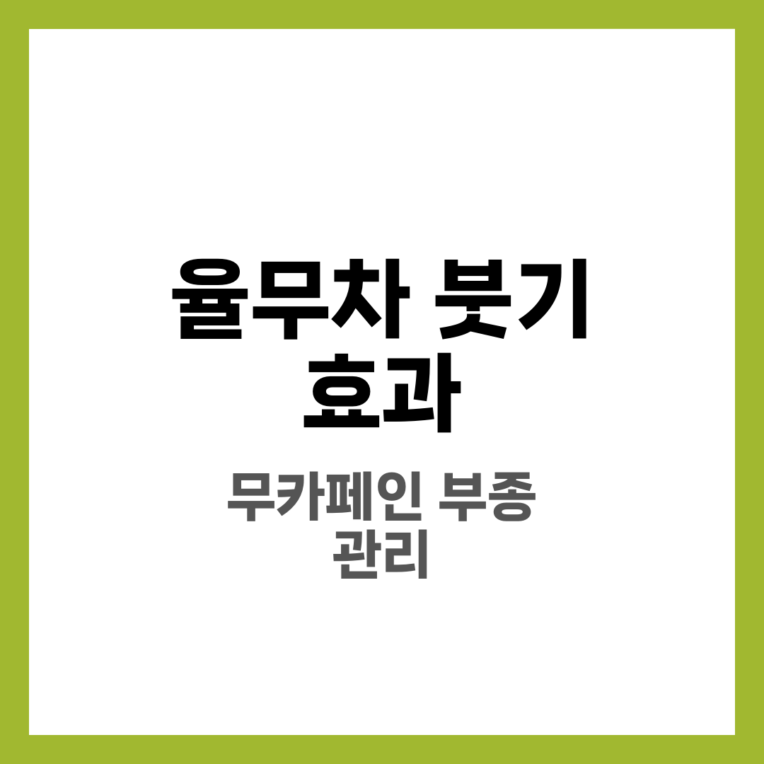 율무차 붓기 효과, 무카페인 루틴으로 괜찮을까 4