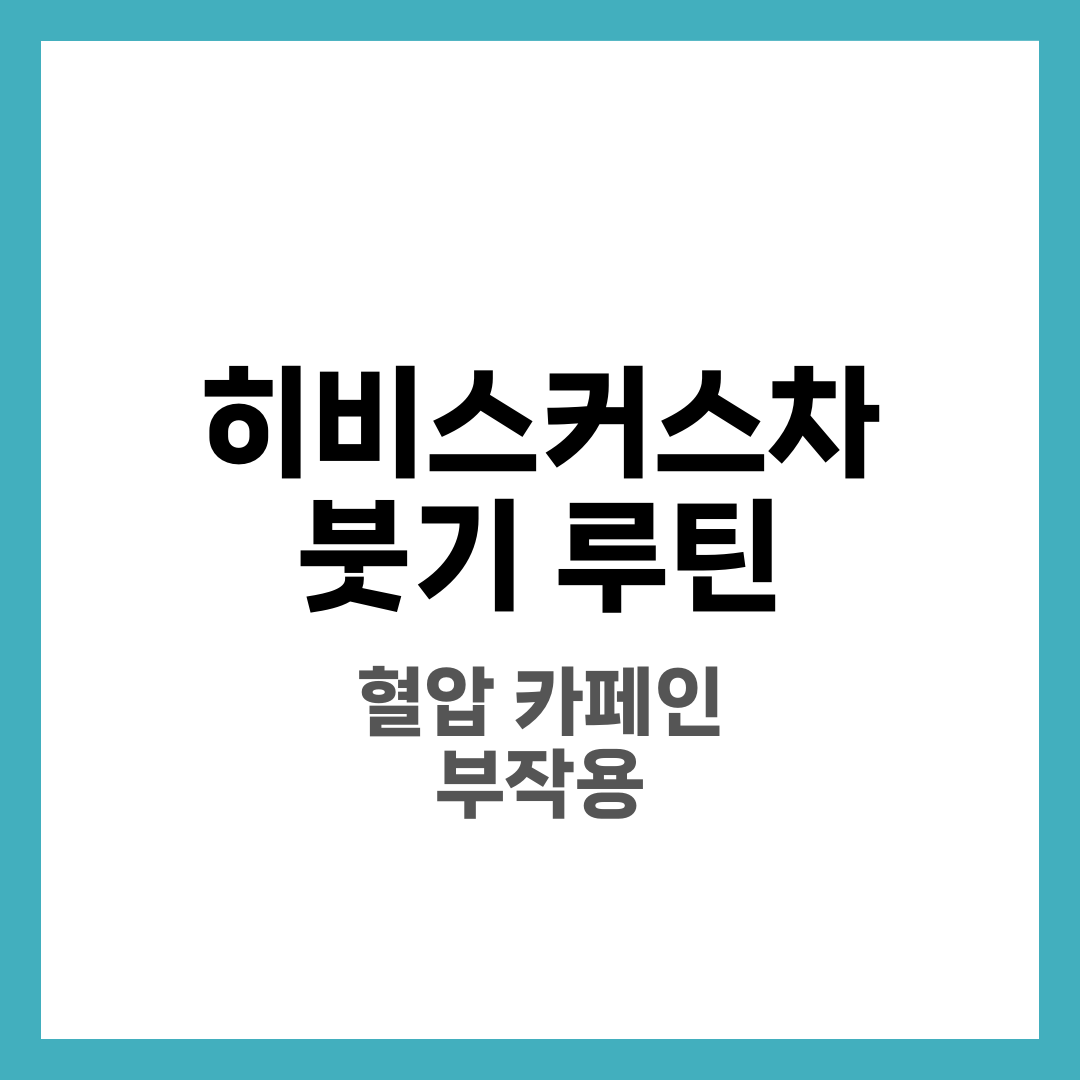 히비스커스차 붓기 루틴, 혈압/카페인/부작용 체크 8