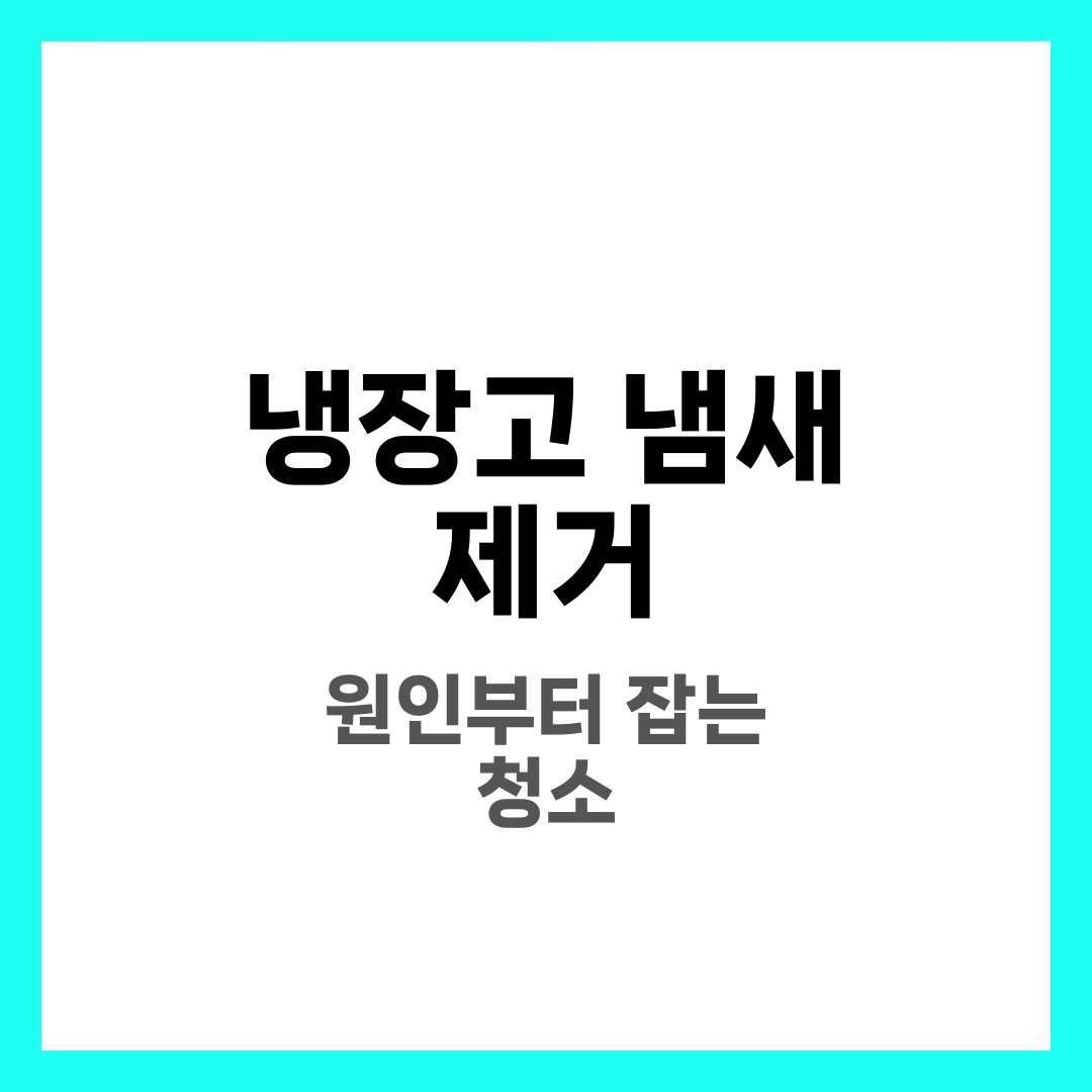 냉장고 냄새 제거, 원인부터 잡는 청소·정리 루틴 7