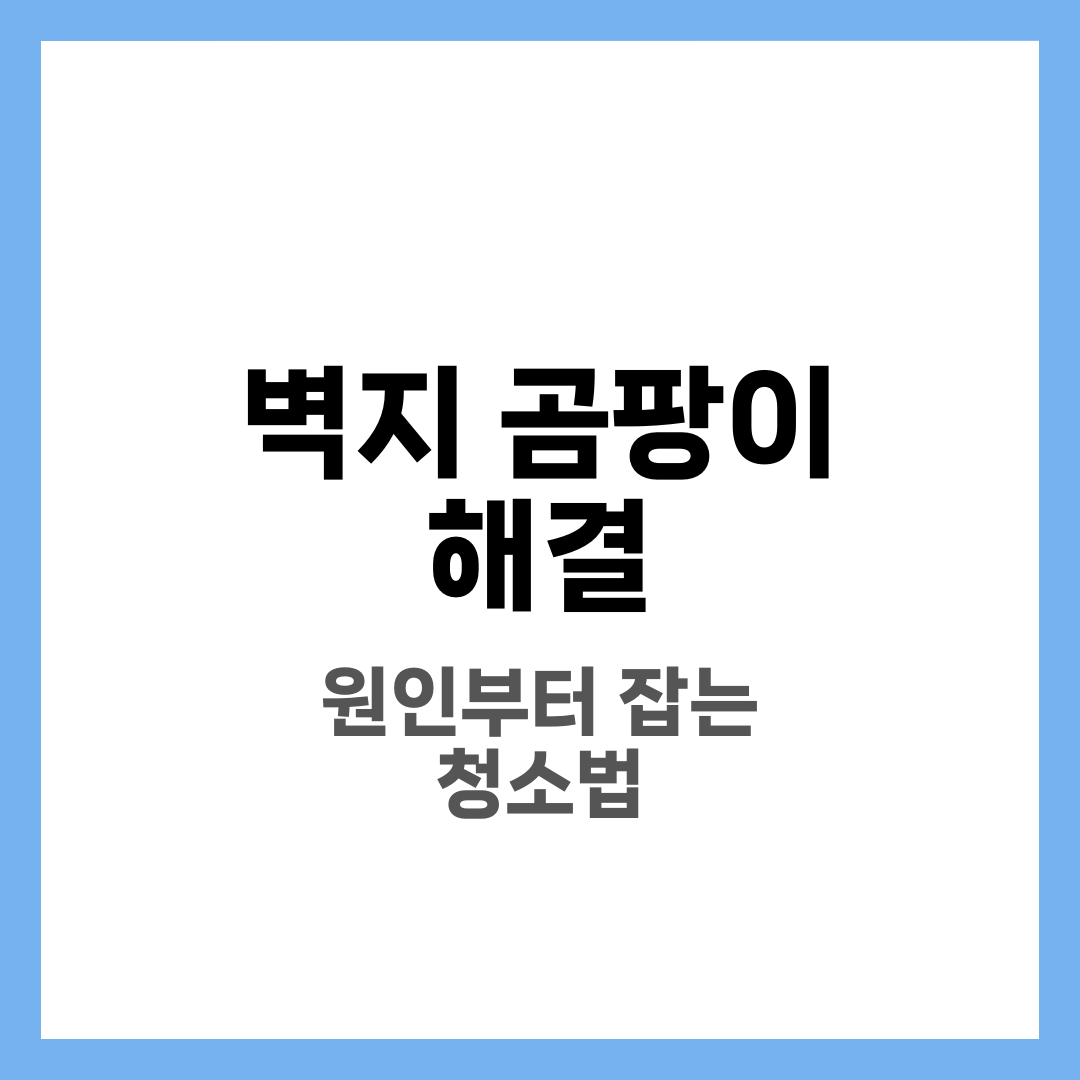 벽지 곰팡이 생기는 이유 및 해결, 청소 후 재발 막는 관리법 3