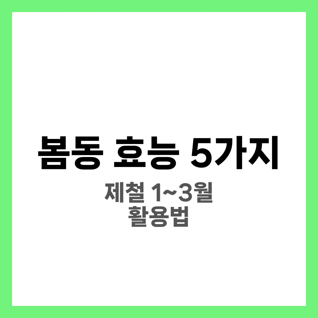 봄동 효능 5가지, 제철에 맛있게 먹는 겉절이 팁 6