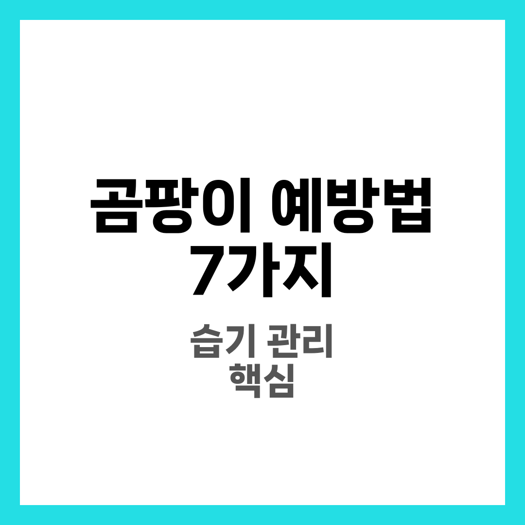 곰팡이 생기기 전 예방법 7가지, 습기 관리가 핵심 2