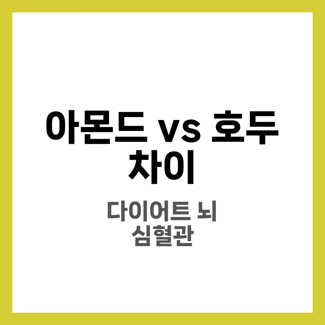 아몬드 vs 호두 차이 비교, 어떤 견과류가 더 좋을까 3