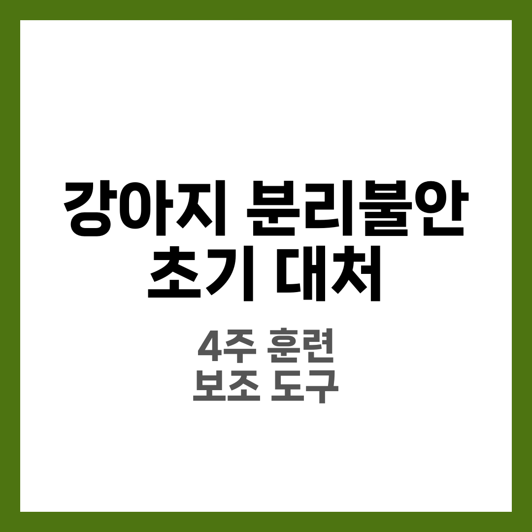 강아지 분리불안 초기 대처법, 증상부터 훈련 방법까지 3