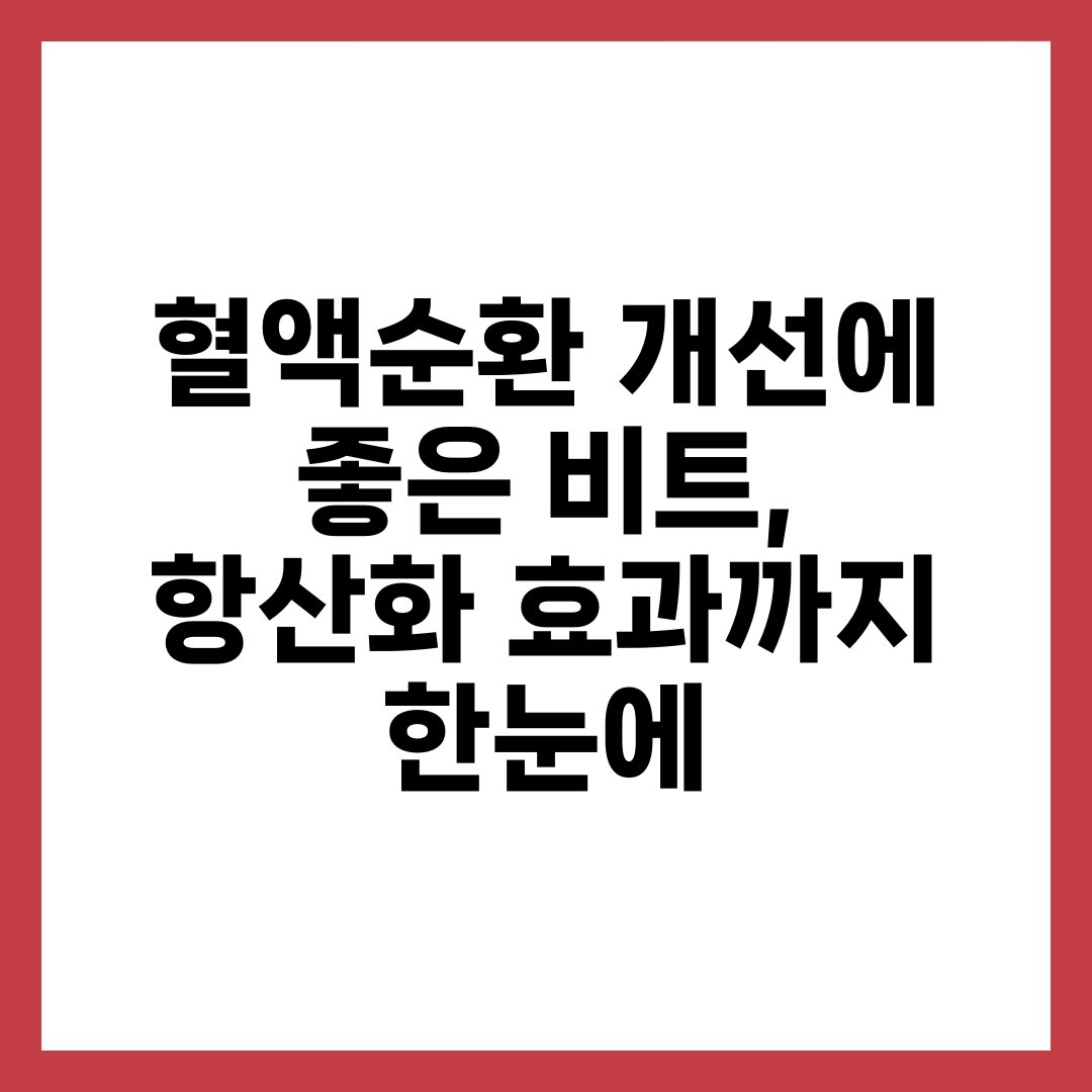 혈액순환 개선에 좋은 비트, 항산화 효과까지 한눈에 1