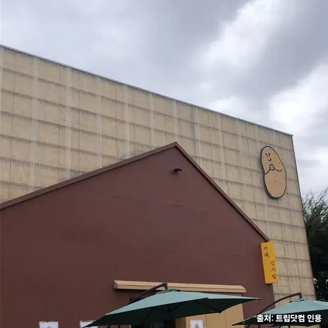 감자밭 — 춘천 특산물 감자빵 시그니처