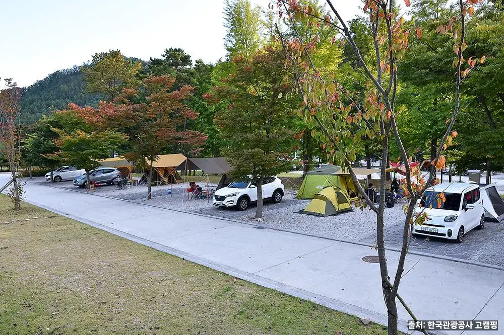 포천 비둘기낭 캠핑장 한탄강 사이트 전경