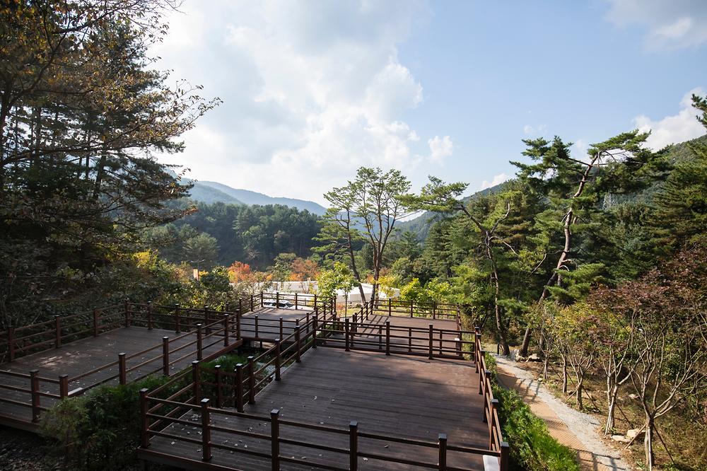 동두천 자연휴양림 야영데크 산속 풍경
