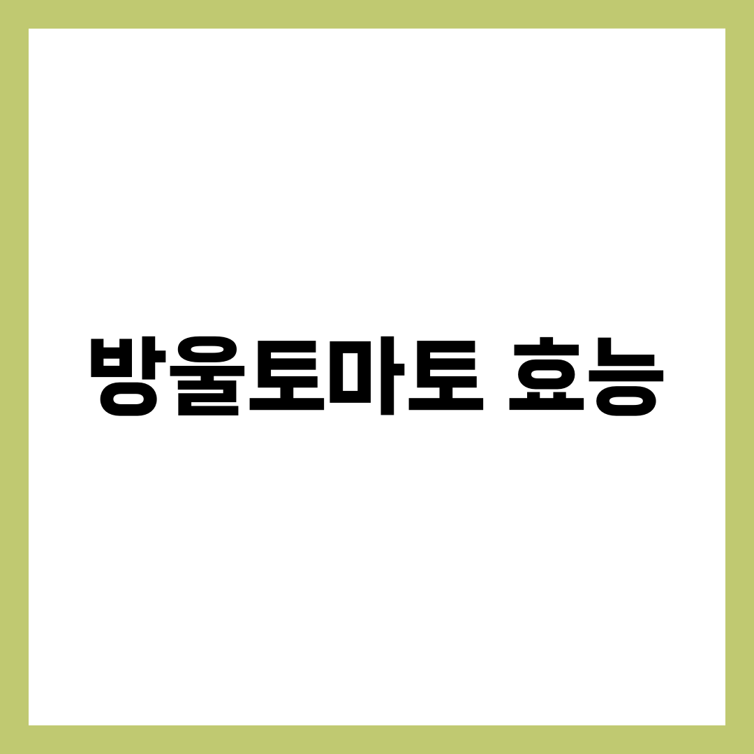 방울토마토 효능 7가지, 생으로만 먹으면 리코펜 절반은 버립니다 1