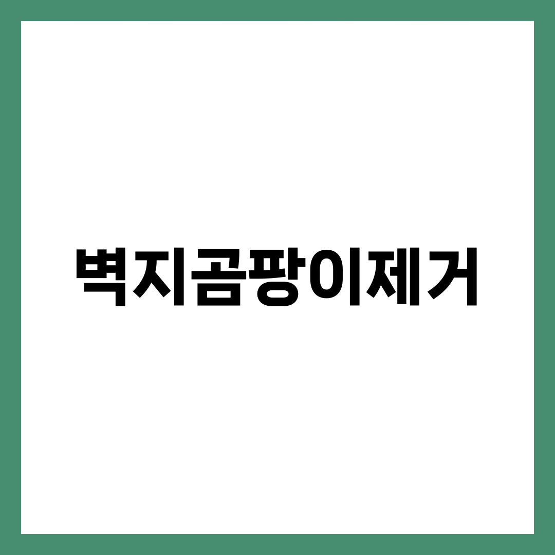 벽지 곰팡이 제거, 닦아도 같은 자리에 다시 피는 이유 설명하는 썸네일 이미지