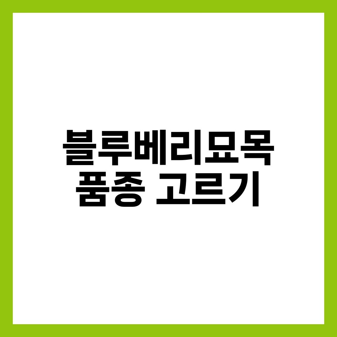 블루베리묘목 품종, 듀크·챈들러 모르고 사면 후회하는 이유 설명하는 썸네일 이미지