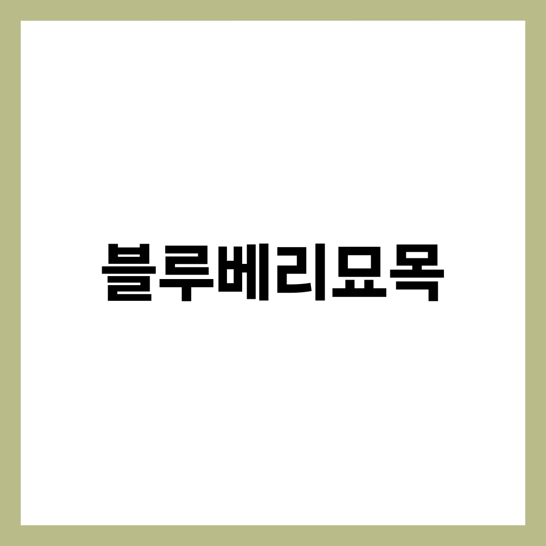 블루베리묘목, 아무 흙에나 심으면 3년 키워도 열매 못 본다 설명하는 썸네일 이미지