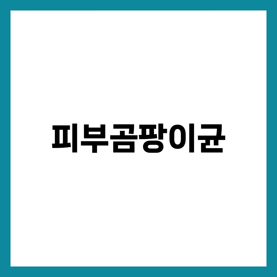 피부곰팡이균, 습진인 줄 알고 스테로이드 바르면 더 번진다 설명하는 썸네일 이미지